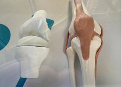 �t(y��)������3D��ӡ��84�q���˷���ϥ�P(gu��n)��(ji��)