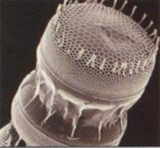 �\Մ2017��������ИI(y��)���w�l(f��)չڅ��