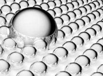 ��������{���y���Ĥ���a�����K���_�����