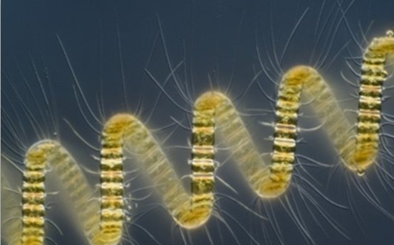 �������a�I�ȫ���D