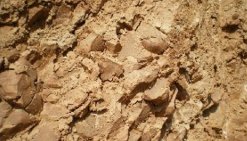 ��͹��ʯճ���a�I(y��)�ȫ���D