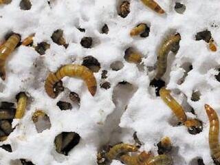 ���x������������Ⱦ���������B�ϵĞ��yô��