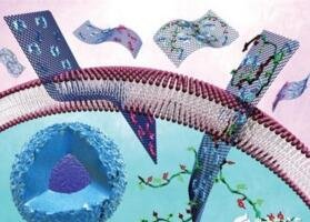 ʯīϩ���S�ʹ�����������w�