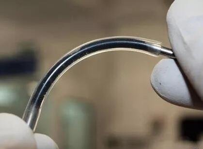 �ƌW�Ұl�FҺ�wʯīϩ���������ܕ���ȋ냺����