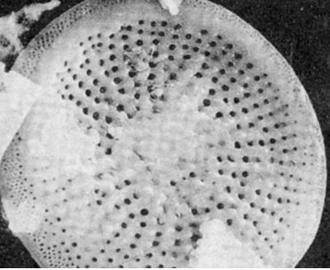 ��ɽ�й������a�I��lչ