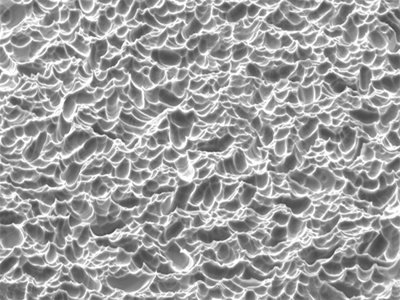 �ྦྷ���Ј��M(j��n)�뽩����