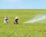 �{�׾�ጼ��g�ɴ���p���rˎ����