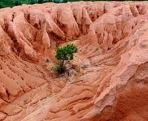 �ИI(y��)�������ޏ�(f��) ϡ�����Ÿ������(sh��)�я�(qi��ng)