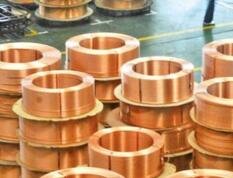 �r(sh��)���������|(zh��)���l(f��)չ���D(zhu��n)׃ --��ȫ��(gu��)�ɕ�(hu��)����ɫ�ИI(y��)�l(f��)չ