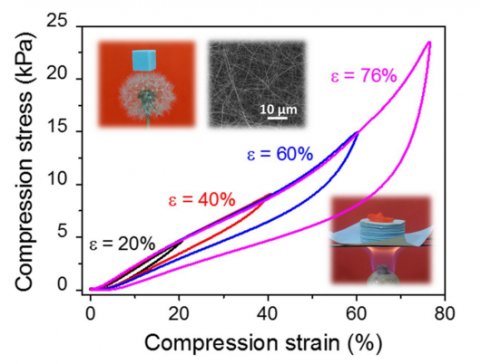 ���������ڳ��p�ɉ��s̼�����մɚ����z�о��I��ȡ���Mչ