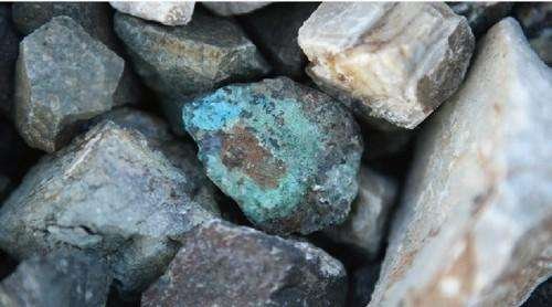 ������������Ⓔ��g���О��(zh��n)�ԵV�a(ch��n)