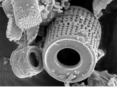 ÿ��һ�� | �Ξ���w�����������?