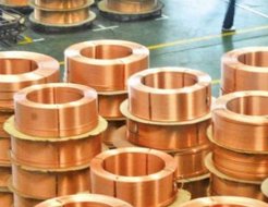 ��ɫ����2018��ڶ����Ȳ��Ԉ�桪������ƫ����������������ɫ�����߄ݷֻ�