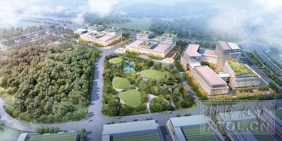 ��̶�к���ʯ��ɫ�a�I���ٳɹ��D��