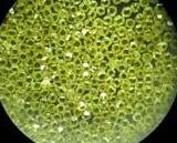 �ƌW���_�l������ʯ�ϳ��²���