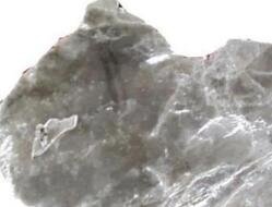 ���У�2013-2017��ԭ����ĸ�����_����ĸƬ�M���ڔ����yӋ�c�lչڅ��