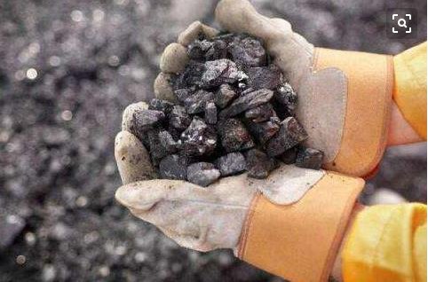 �F�Vʯ���������M���������Ȼֻ������