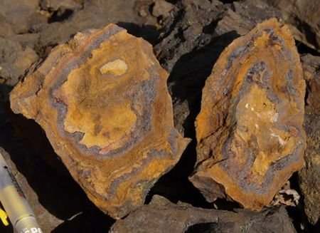 ���׵�ϡ����������]��ô����