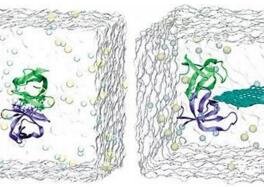 ��������������?ʯīϩ��ɷ���ֲ���g��Ⱦ