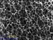 ���Sʯīϩ�K�߻�������ȼ��늳��о��@�Mչ