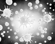 ��ʿ�_�l���ܿ��Ɔ΂����ӵġ��{���y�T��