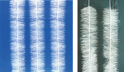 ���w�ٿƣ��V�����ϼ�����Ϳ���е�����