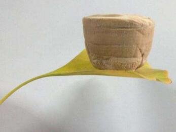 �K�ݼ{�����ɹ��Ƃ����ԡ����坍��ʯīϩ�����z������׃�w�S