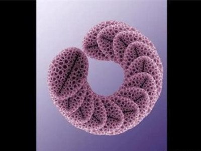 Ӣ�о��ˆT�״���ֲ���аl�Fϡ�еV��--����ʯ