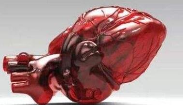 3D��ӡ���w���ټ�������