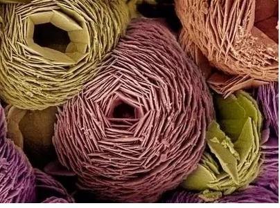 ��ֲ���аl(f��)�F(xi��n)ϡ�еV������ʯ