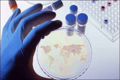 �²��ϱ��U(xi��n)�a(b��)�������(xi��ng)Ŀ��1/3