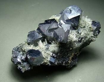 δ������ʮ���Ї����ڵV�a����ì�����y����