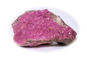 �Ј����o����δ������e���S�D��