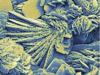 ��ͬ��ò�{��̼���}�đ���