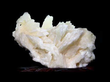 ��̼�V�����V�V�������a���g����