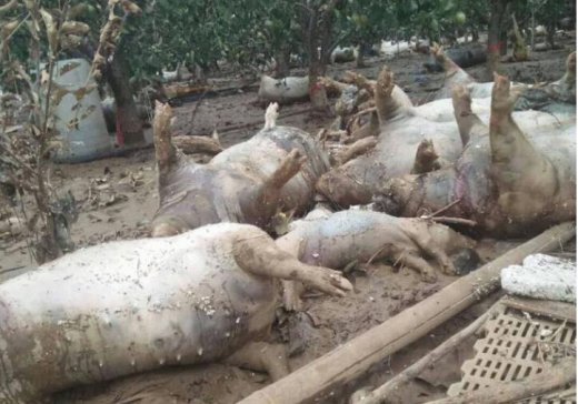 ��ʯ�ң���ʯ�ң�߀ȱ300�����H���ą^���衿