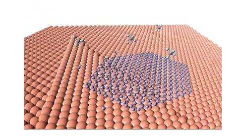 �㽭��W(xu��)Ԕ��(x��)��ʾʯīϩ�ڶྦྷ�r�׾��總��������L(zh��ng)