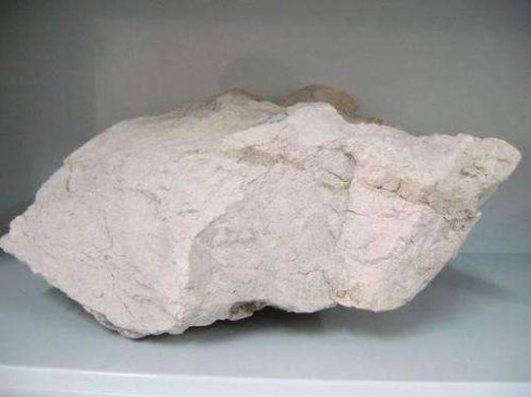 �����Ĵ벢�e���𡰰ك|������(m��ng)��