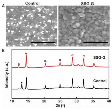�P�c��һ����l����nature/science�ϵ�10ƪ�}⁵VՓ��