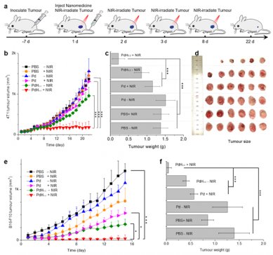 �{�׃���������ڡ���Ό���ί���