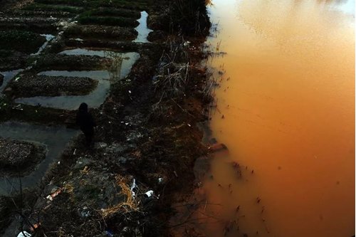 �߼�ʯӢ��������ϴ��ײ�ϡ��h��������I�ѽ��M�˾S�ȣ�