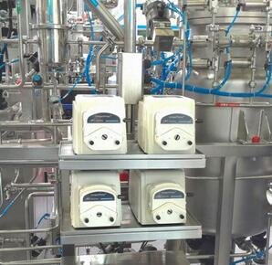 ����ں� �����аl���tˎ�F�����P�I�b��