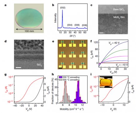 �P�c��Nature&Science10�²����I����гɹ��R�� �����M�~5ƪ
