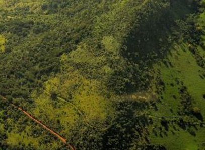 ǰ�ł��²ɵV�I���F�������~ͬ�����L50%