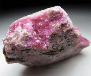 ����١����P�� 10�µ������(n��i)�θ�