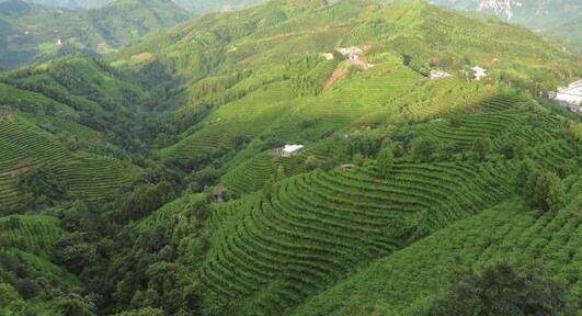 �Gɫ�VɽԺʿ�����M(j��n)����