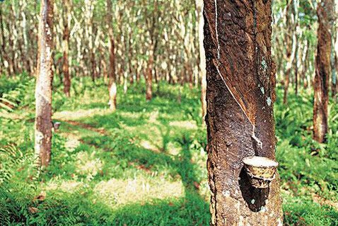 ̩�����z���p�ٷNֲ����e �����Ӈ���������