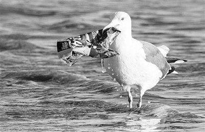 ���΢������Ⱦ�������@����