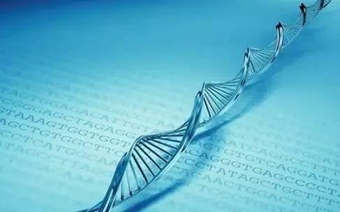 �п�Ժ�L�����������l�F�๦���\���{���w��