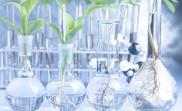 �҇�MMA��ˇ�ʬF(xi��n)��Ԫ�����M���ИI(y��)�l(f��)չ���s��